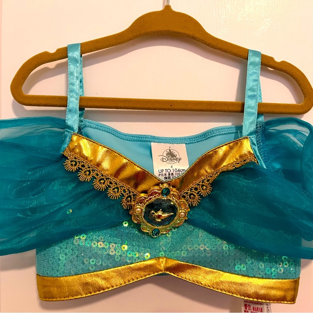 Princess Jasmine outfit/costume